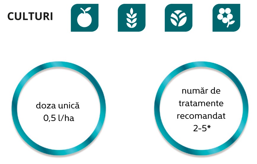 optysil uprawy